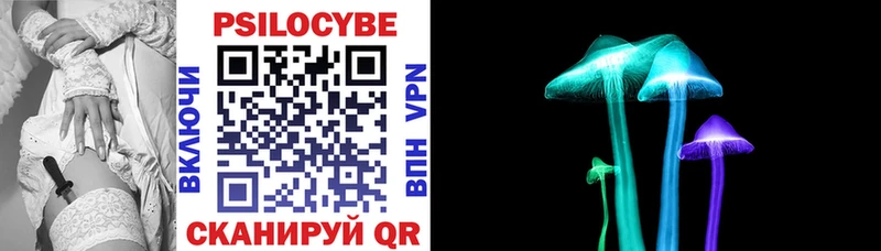 blacksprut зеркало  купить закладку  Краснокаменск  Псилоцибиновые грибы Psilocybine cubensis 