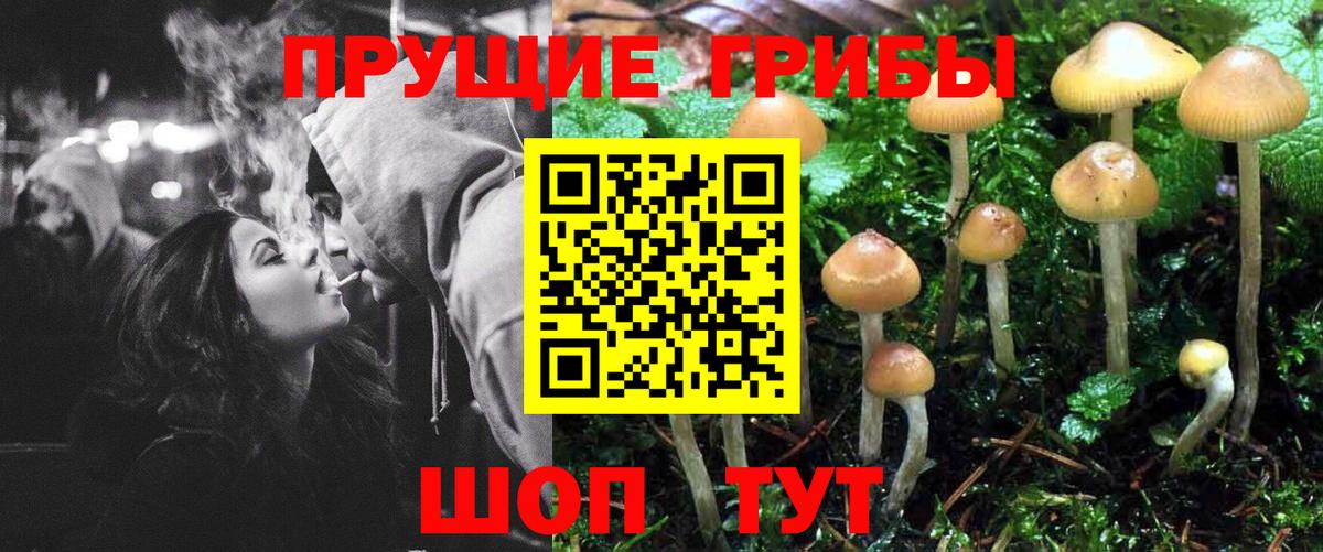 Галлюциногенные грибы MAGIC MUSHROOMS  Вход с VPN  Краснокаменск 