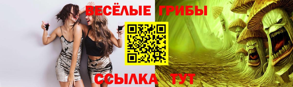 Псилоцибиновые грибы мицелий Краснокаменск